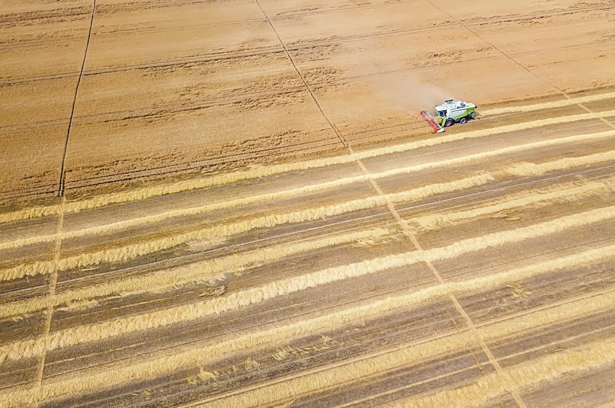 Moissonneuse récoltant du blé — agriculture de précision AgriPilot