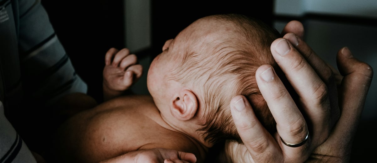 a picture of a newborn baby