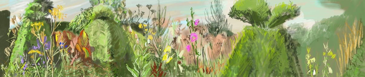 The Peacock Garden Great Dixter - digital drawing