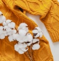 Coton - fibre textile ( Freepik)