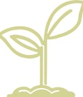 a plant with a leafy sprout on top of a pile of dirt