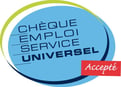 Cesu cheque emploi services universel