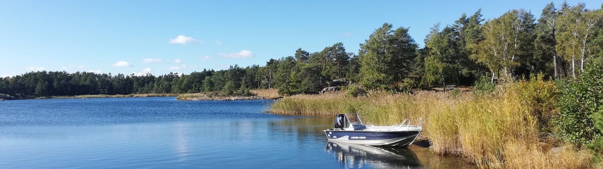 There is a beautiful fishing boat on a lake in Sweden, there is sun, a forest and reeds.