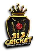 313Cricket logo