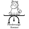 Annika Roemer logo