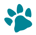 Coussinet chien bleu canard