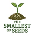 Logo of Smallest of Seeds blog by Velany Rodrigues, showing a sapling sprouting from a seed