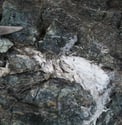 Serpentinites à veines de trémolite-amiante. ©C.Coutin, Luggo-di-Nazza, Haute-Corse