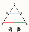 Teorema triangulos