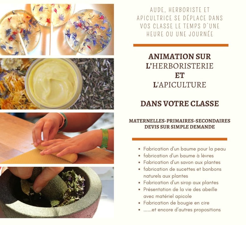 Animation chez vous