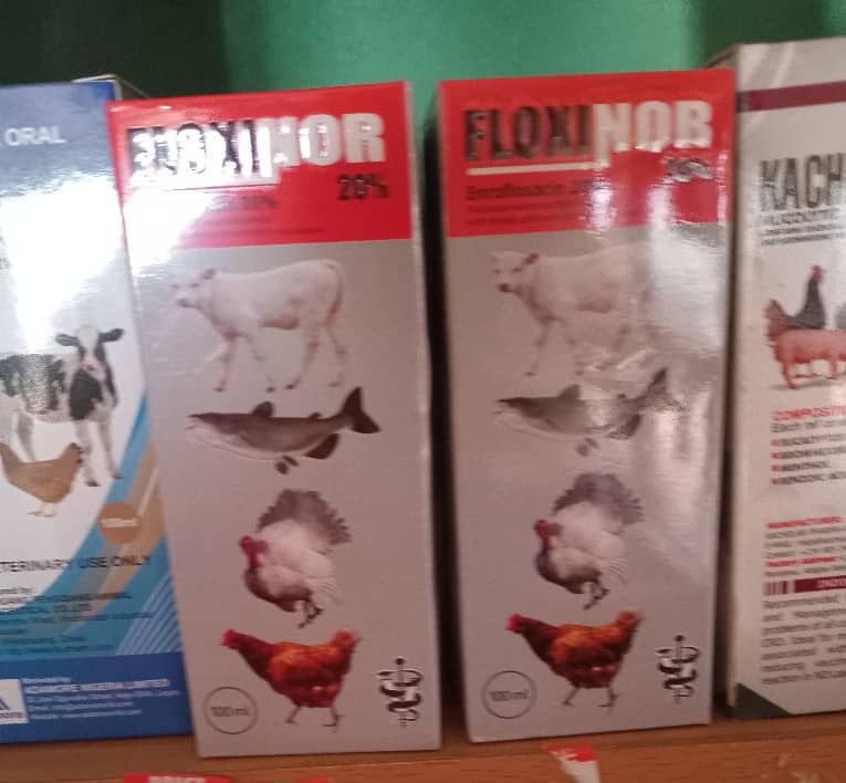 Floxinor image