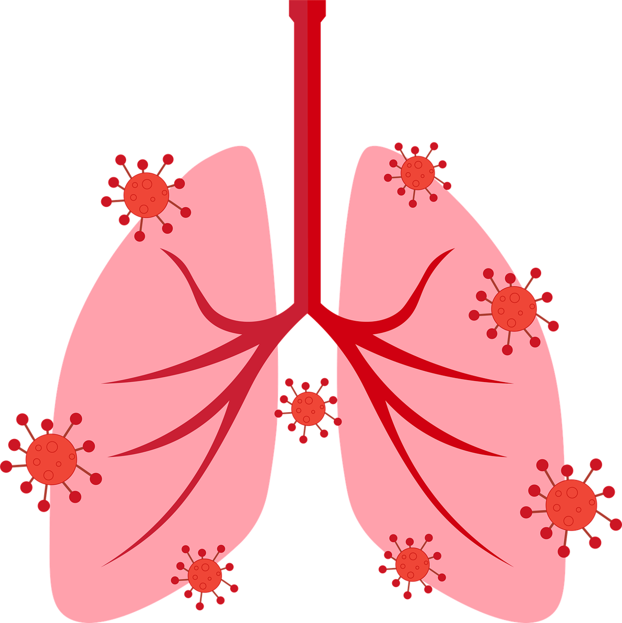 Respiratory disease treatment in ayurveda
