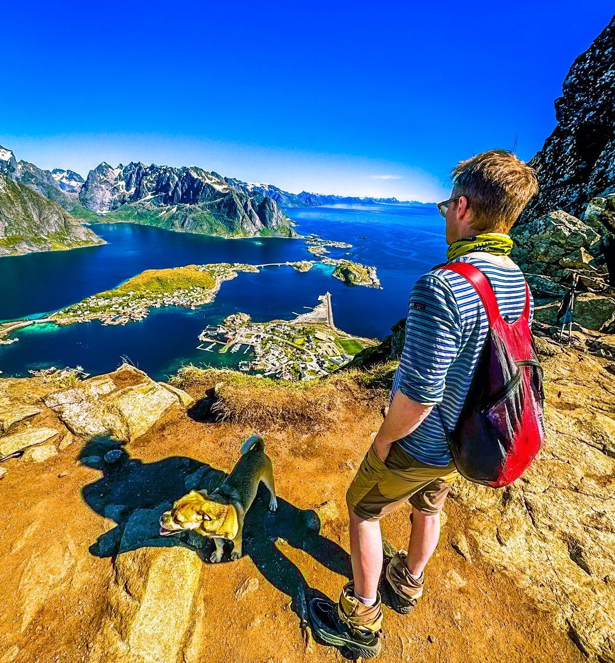 Hiker and dog overlooking Reine from Reinebringen summit near Maritime Munchies fish and chips
