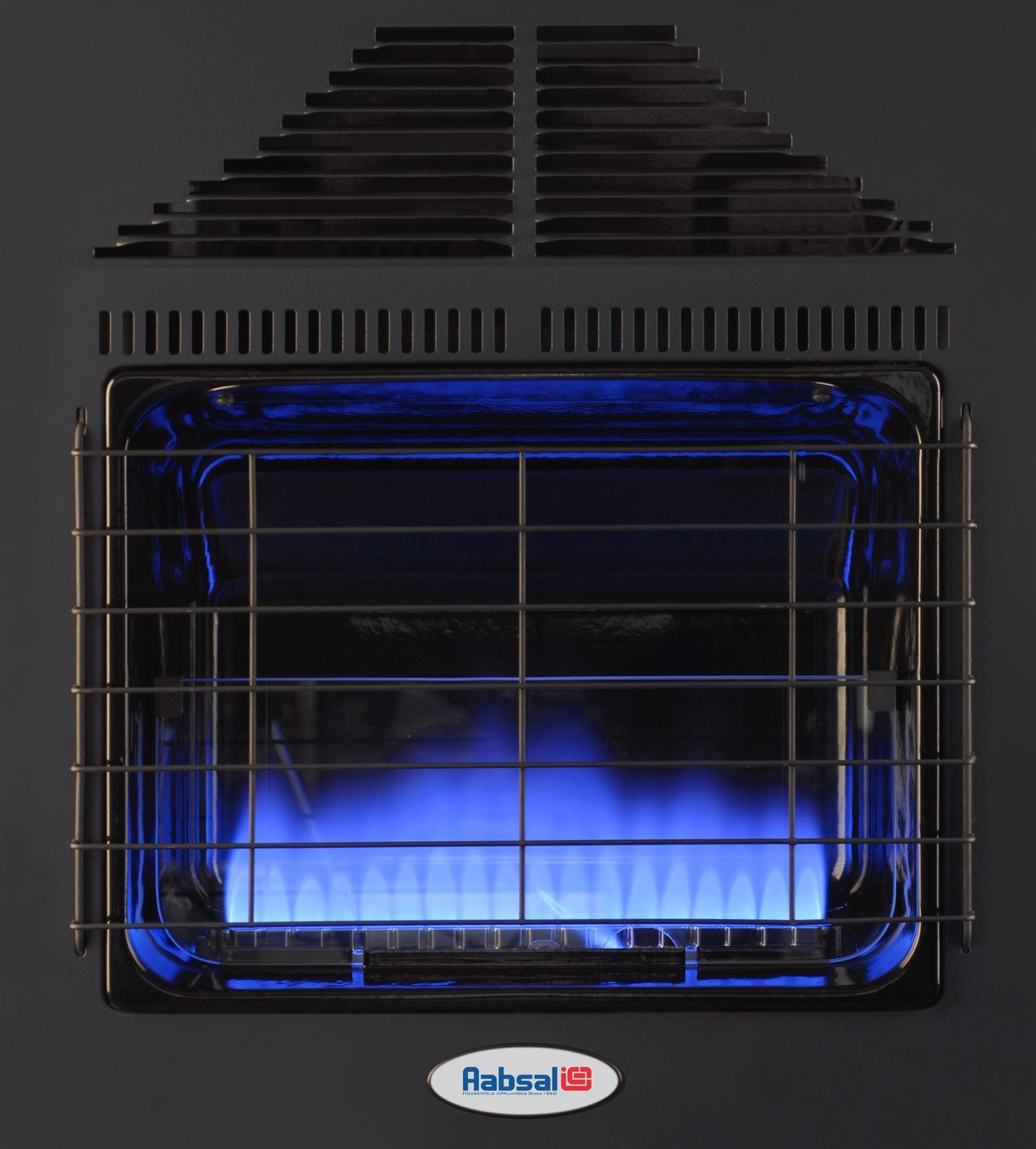 Rinnai Gas Heater Japan Aabsal blue flame
