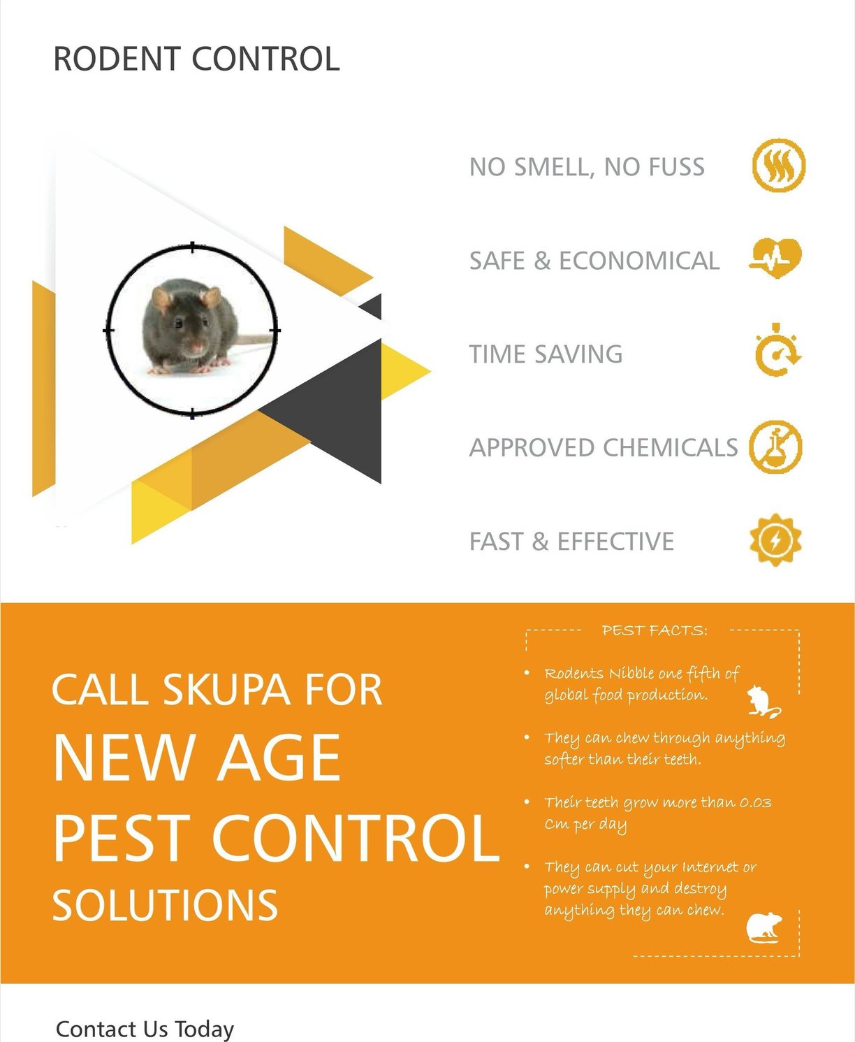 Rodent Control Services in Mumbai by Skupa Pest Control – Reliable Rat and Mouse Removal Solutions