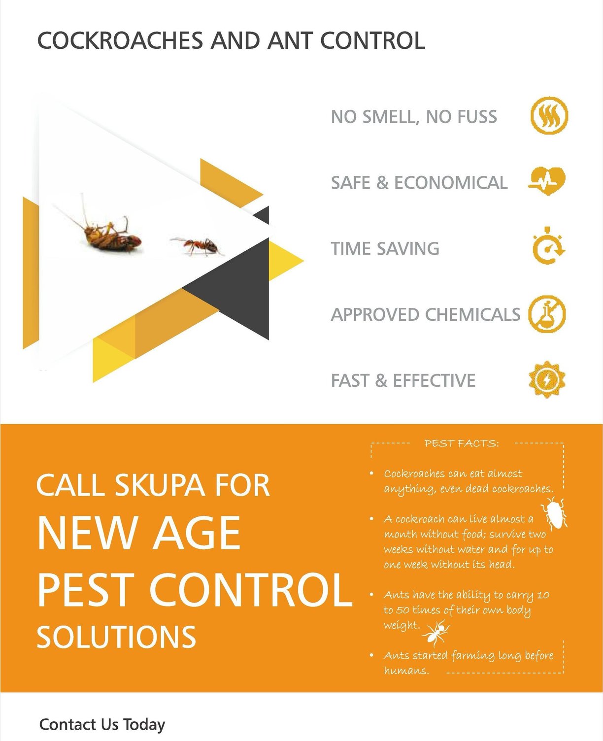 Cockroach and Ants Control Services in Mumbai – Skupa Pest Control’s Safe and Effective Pest Solutio