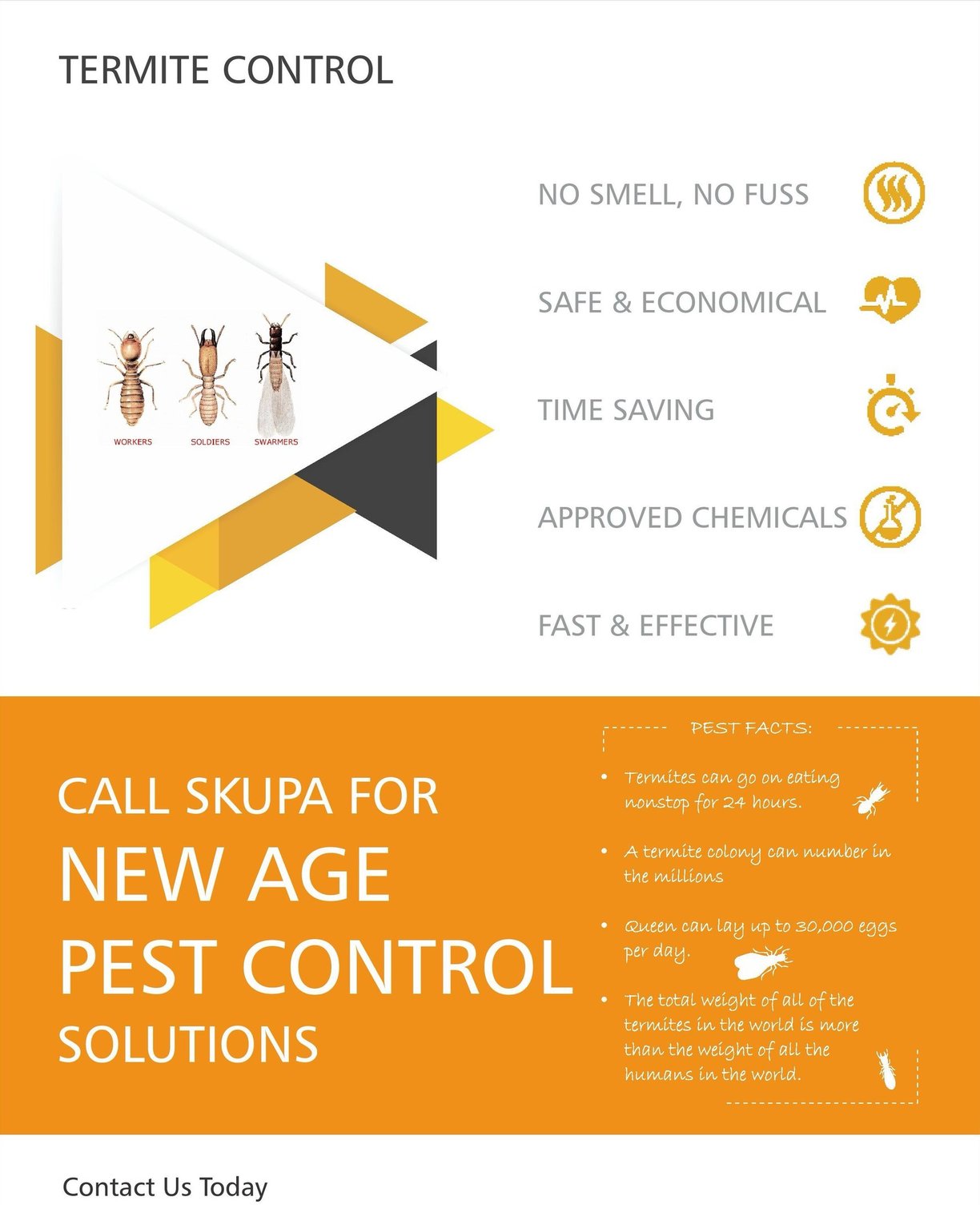 Termite Control Services in Mumbai by Skupa Pest Control – Expert Termite Treatment for Homes and Of