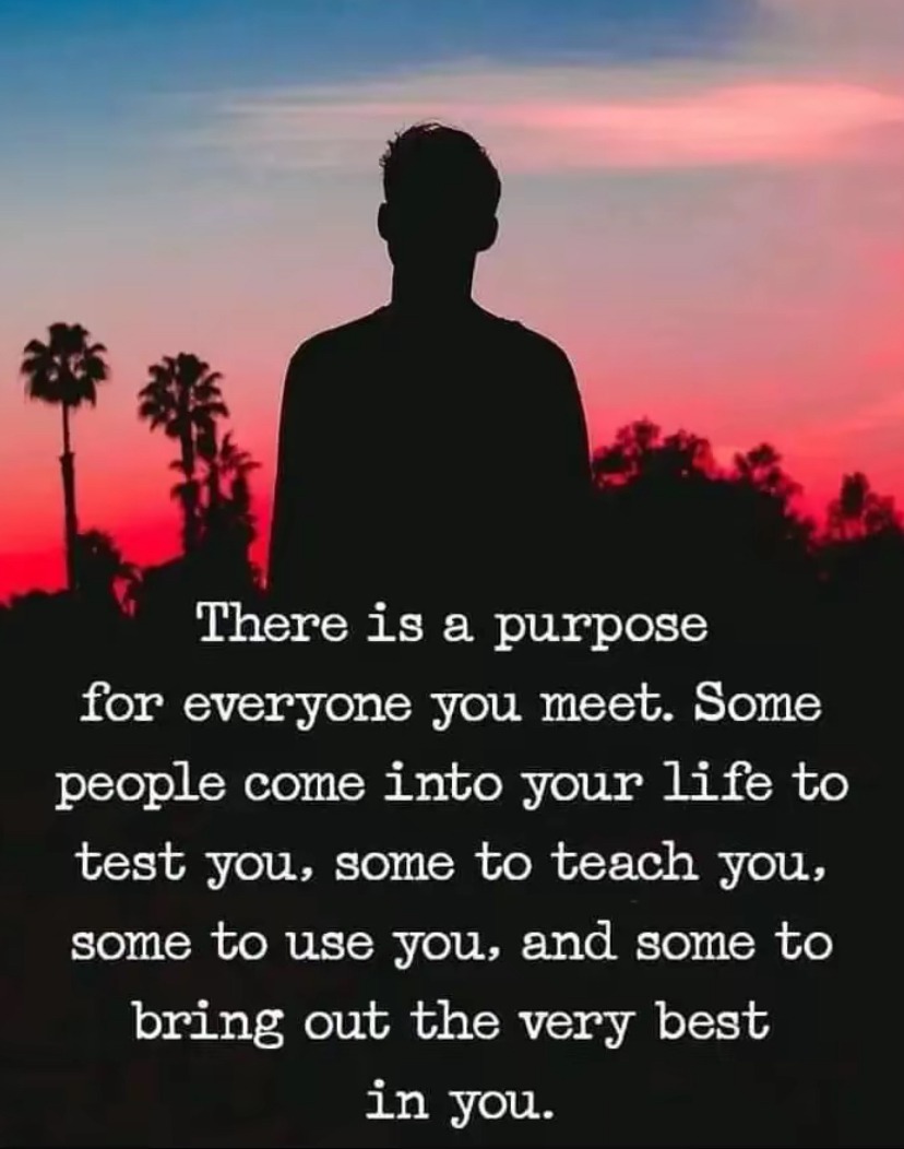 We All Have A Purpose Sometimes We Just Don't See It