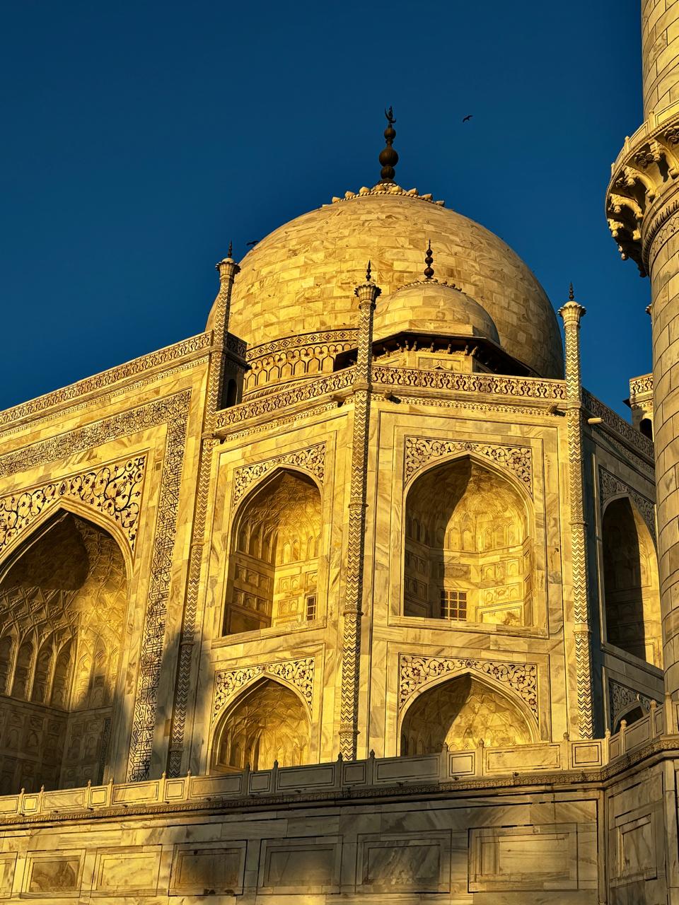 White, pristine marble of the Taj Mahal reflecting the hue of gold as the Sun begins to shine