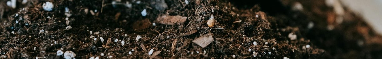 Houseplant soil mix