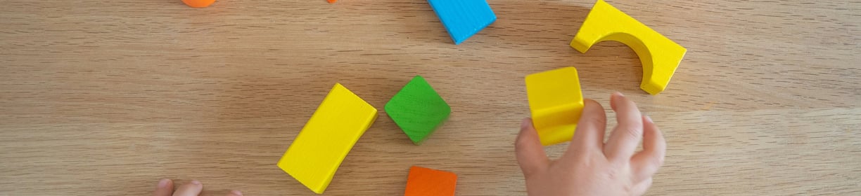 Purpose of 5i Behaviour Consulting