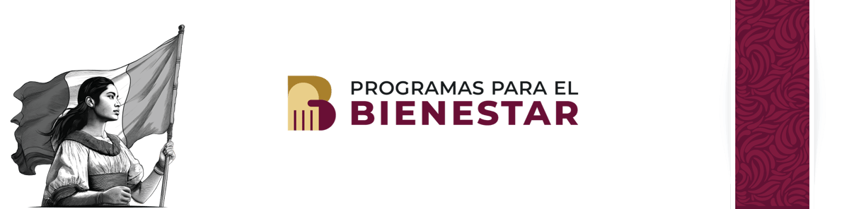 Registro Mejora de Vivienda Bienestar 2025