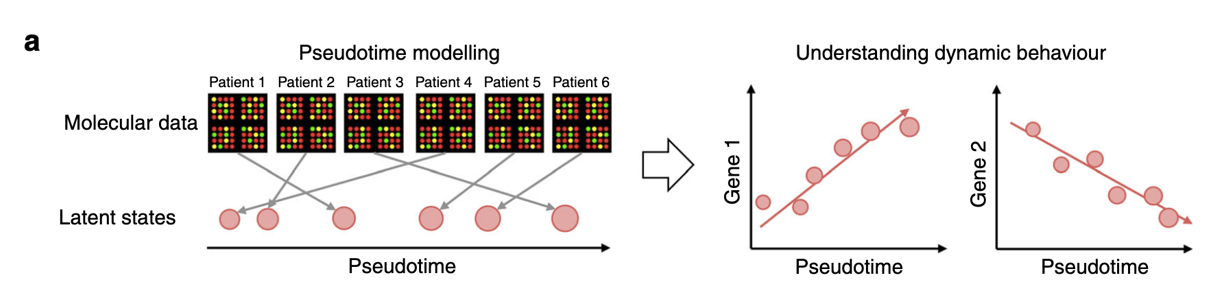 phenopath, pseudotime concepts