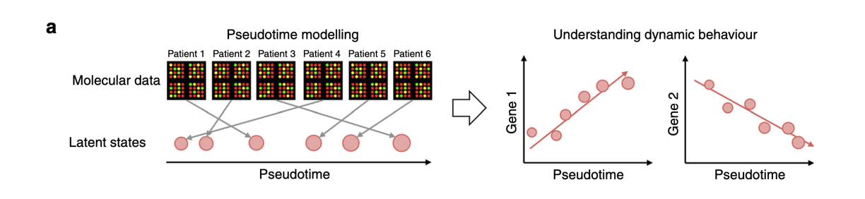phenopath, pseudotime concepts