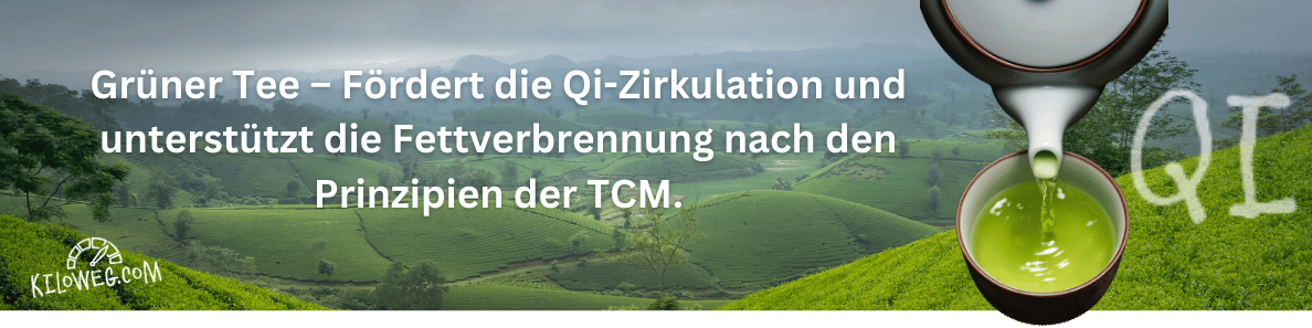 Grüner Tee – Fördert die Qi-Zirkulation und unterstützt die Fettverbrennung nach TCM