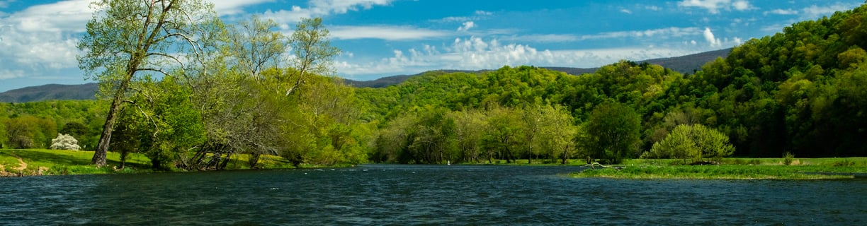 Late spring on the South Holston River.