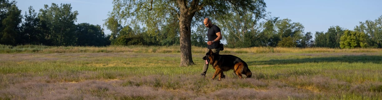 DiabK9 Hundetrainer aus Bremen bei Training 