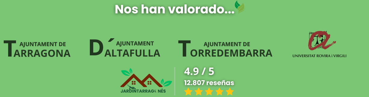 Mantenimiento mensual de jardines comunitarios en Altafulla y alrededores