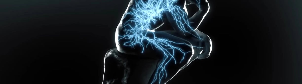 visual representation of how Transfer Factors flow through your body over time