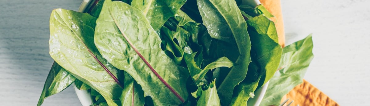 What are Prebiotics and do I need to take them