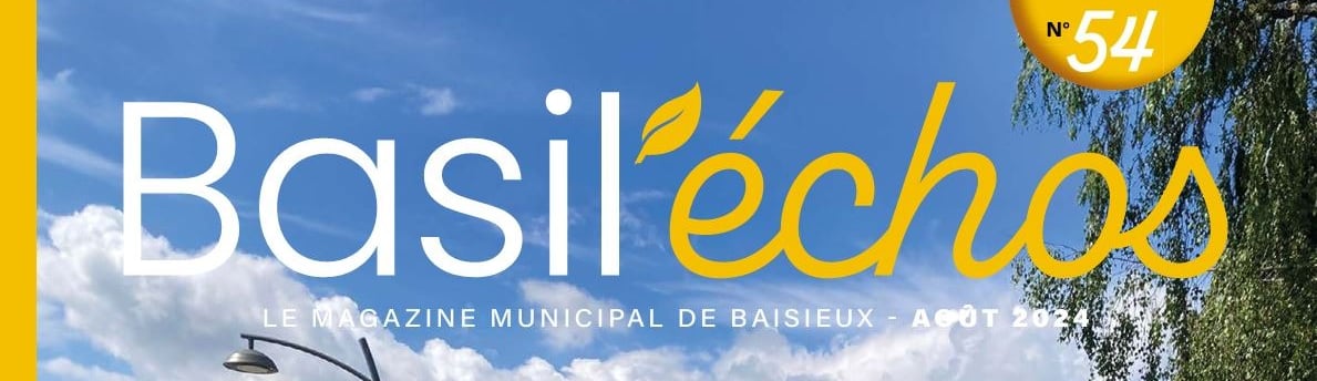 baisieux arts martiaux basil échos