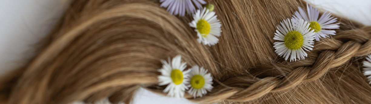 Capelli castani intrecciati decorati con margherite bianche, simbolo di routine naturale per capelli