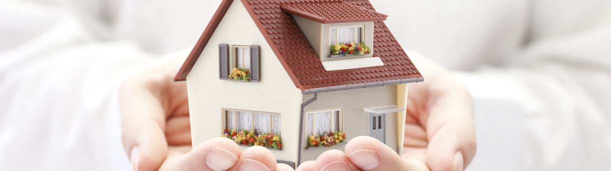 Protection of the home, hands hold a house, as a symbol of protection