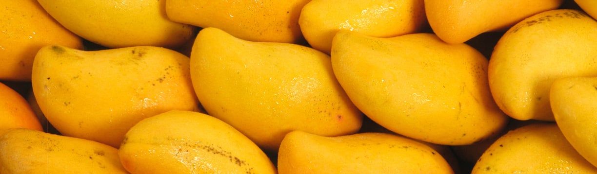 mango types