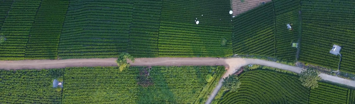 Topo Vizija visos geodezijos paslaugos geodeziniai darbai kadastriniai matavimai Tauragėje