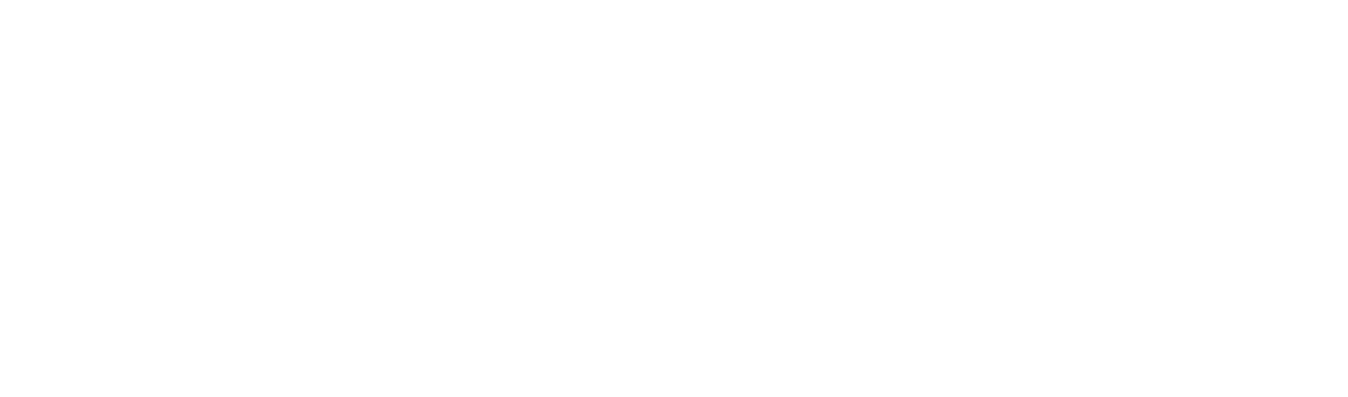 Schuler Consulting