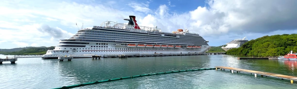 a cruise ship docked at a dock with people swimming in the water