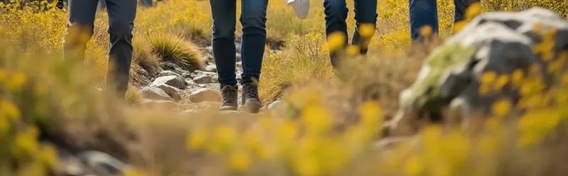 a group of people walking on a trail
