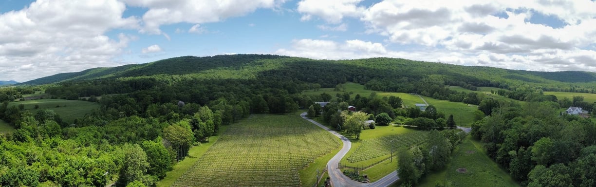 Wine Country, Northern Virginia, USA