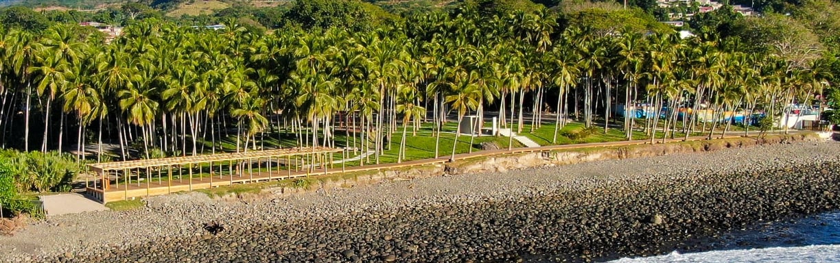 a beach with palm trees and a body of water in front of a beach in El Salvador