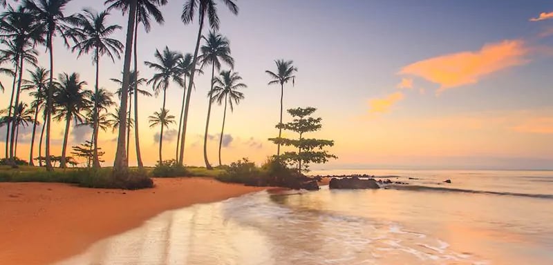 Pregão eletrônico 1004373 Identificador desta licitação: BB-1004373 Portal: Licitações-E (BB) Cidade