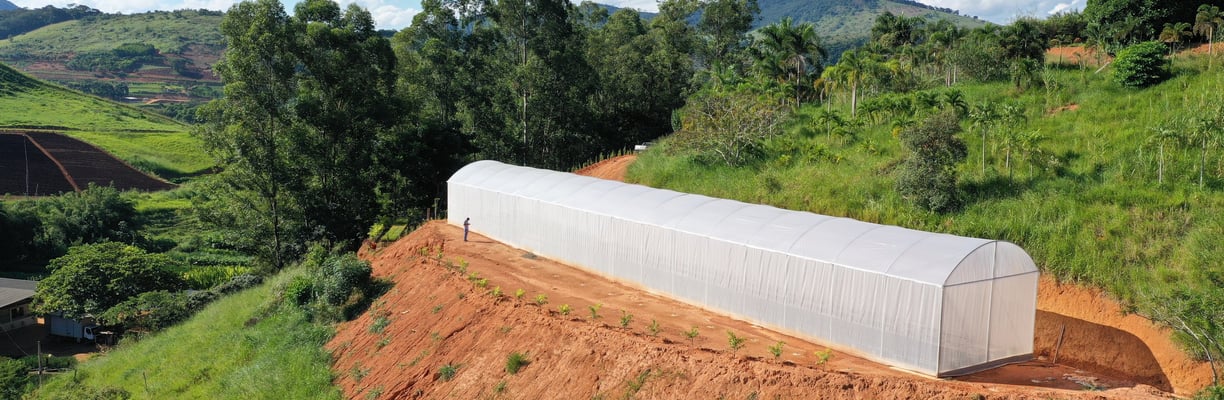 estufa citrica em dona euzébia mg
