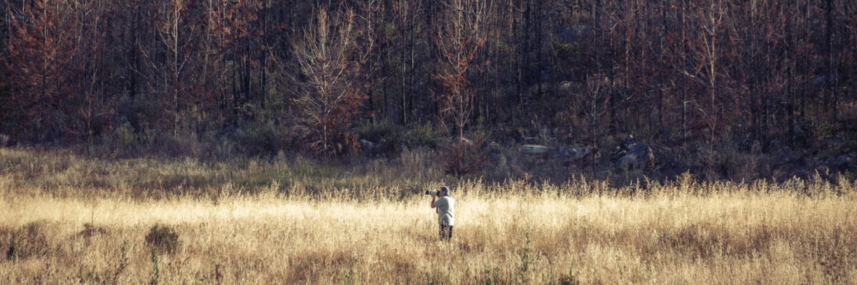 Martin Osner photographing in a golden field against a backdrop of burnt trees and mountain shadows.
