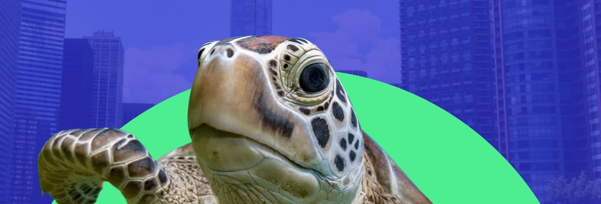 FILTROX BUEIROS, FILTROS PARA BUEIROS, BUEIRO ECOLOGICO, BUEIRO INTELIGENTE
