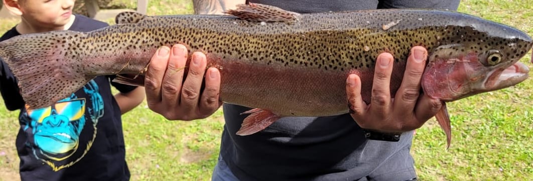 a man holding a fish on a field