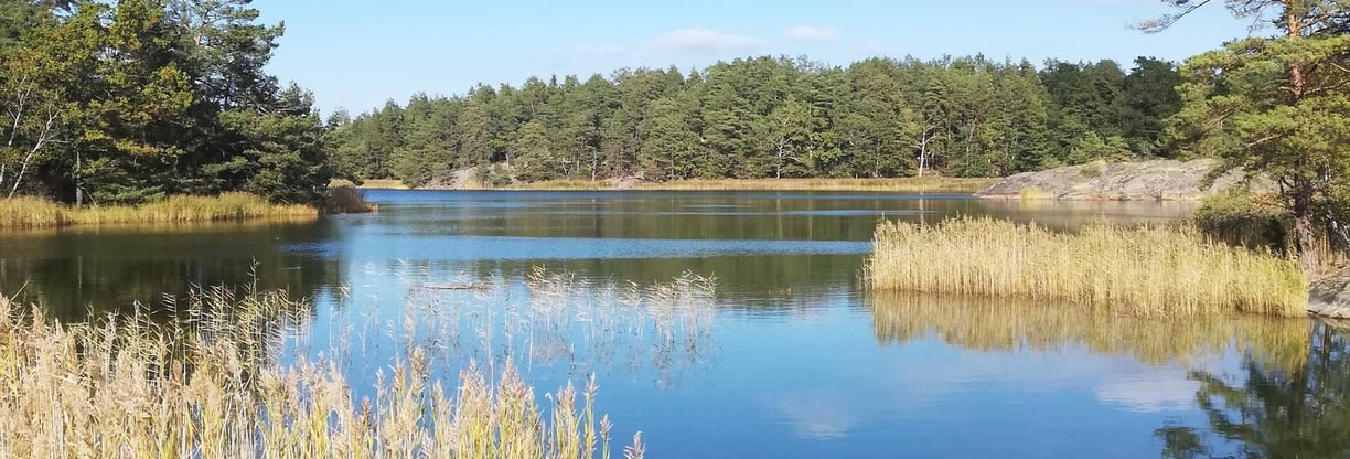 vackert landskap och en sjö i Sverige, det finns öar och granar.